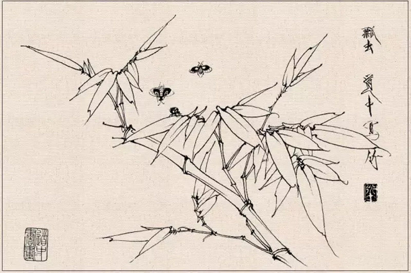 How to Conduct Line Drawing Sketching of Fine Brush Flower-and-Bird Paintings