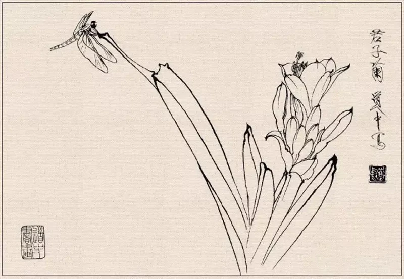 How to Conduct Line Drawing Sketching of Fine Brush Flower-and-Bird Paintings