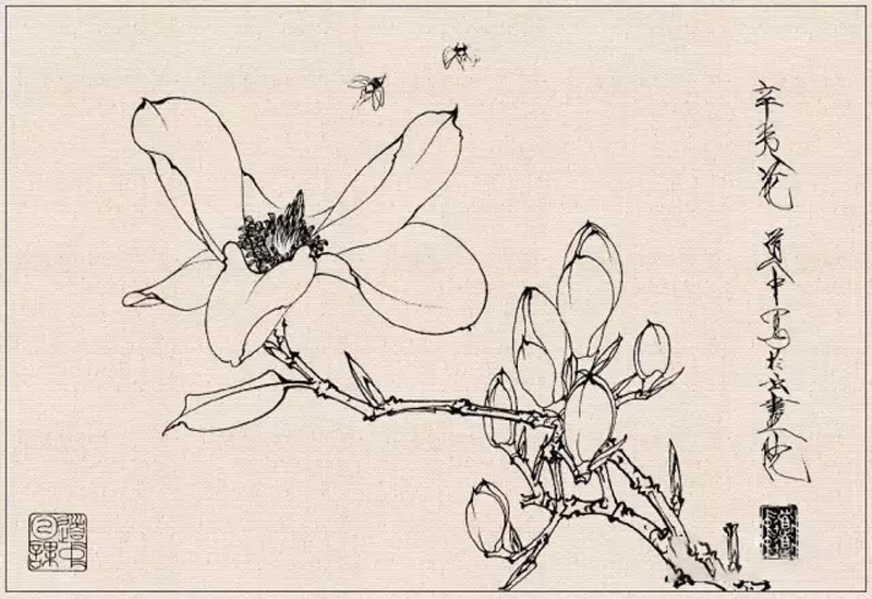 How to Conduct Line Drawing Sketching of Fine Brush Flower-and-Bird Paintings