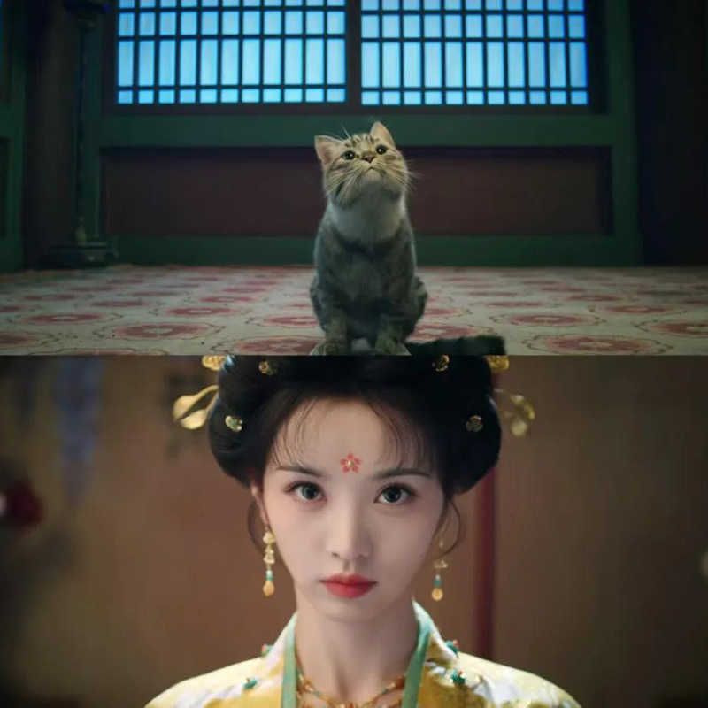 Moonlit Reunion: New Drama about Strange Tales Aesthetics