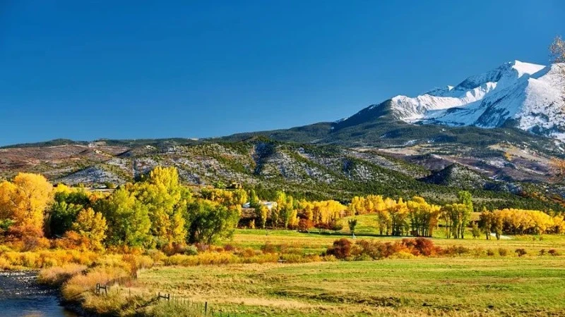 Nature's Transition: Traditional Wisdom for the Chushu Season