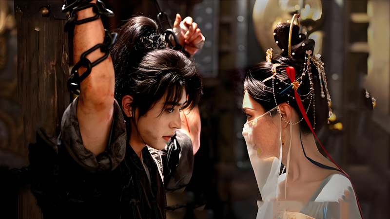 Shadow Love Weaves Political Intrigue and Identity Crisis