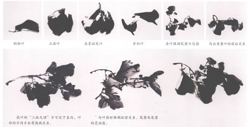 The Complete Step-by-Step Guide to Ink Peony Painting for Beginners