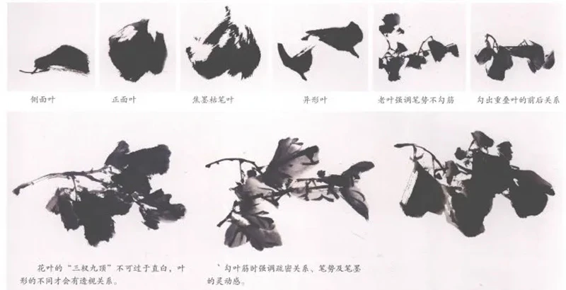 The Complete Step-by-Step Guide to Ink Peony Painting for Beginners