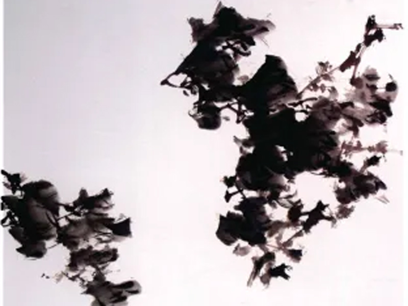 The Complete Step-by-Step Guide to Ink Peony Painting for Beginners