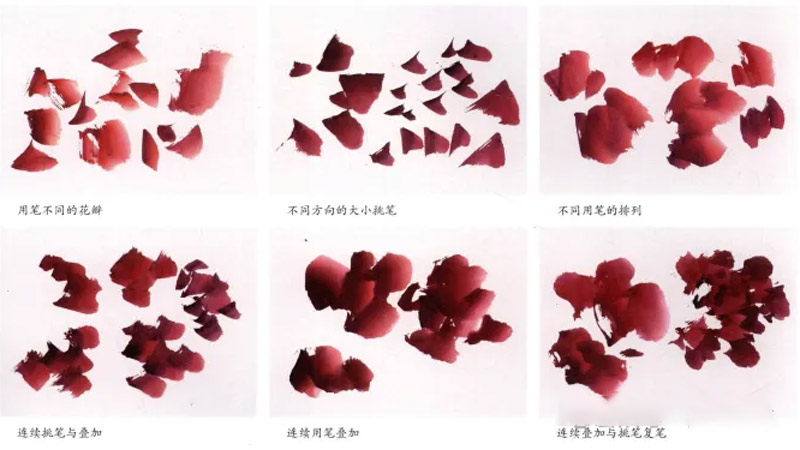 The Complete Step-by-Step Guide to Ink Peony Painting for Beginners
