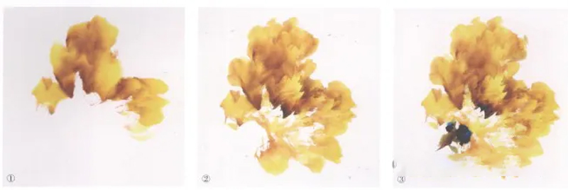 The Complete Step-by-Step Guide to Ink Peony Painting for Beginners