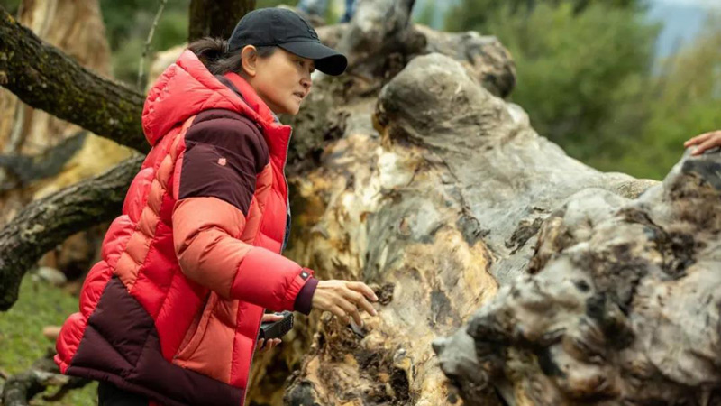 The Director of Immortal Ascension: I'm Here to Tell a Human Story