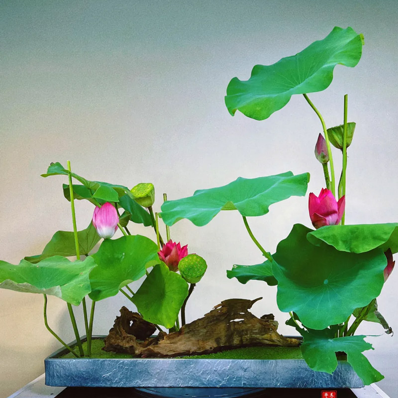 The Essence of Traditional Chinese Flower Arrangement