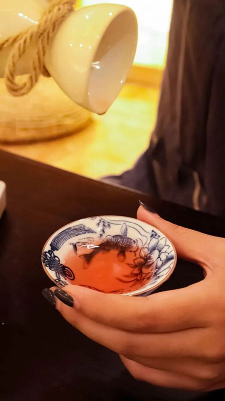 The Practical Wisdom of TCM: Wellness in Your Daily Life