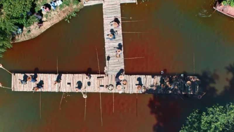 The Wanted Detective: The Night Fiend's Reign in Dingfeng Pavilion