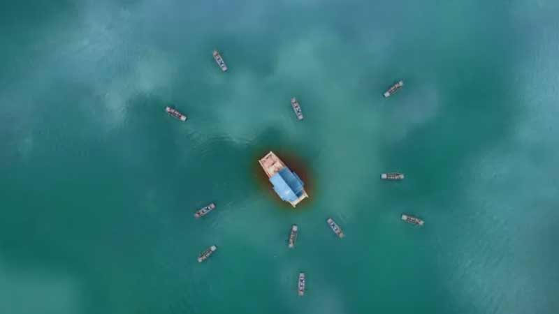 The Wanted Detective: The Night Fiend's Reign in Dingfeng Pavilion