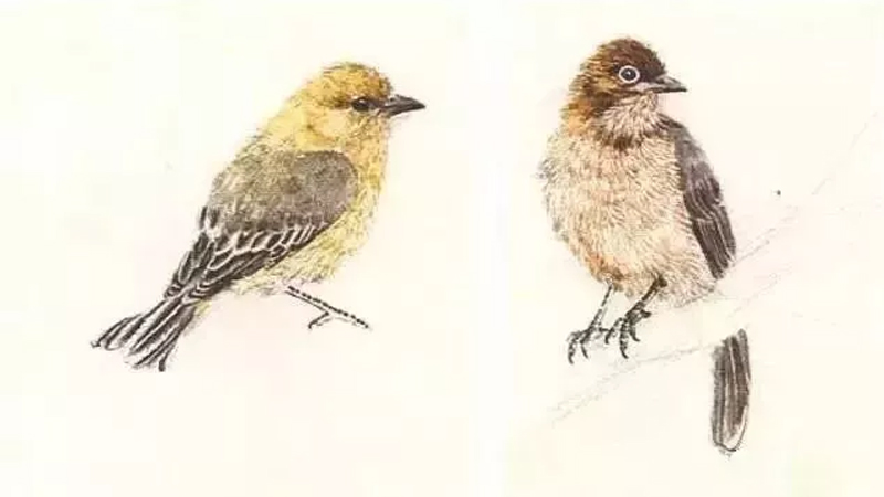 Tutorial: Techniques for Painting Boneless Flower and Bird Paintings