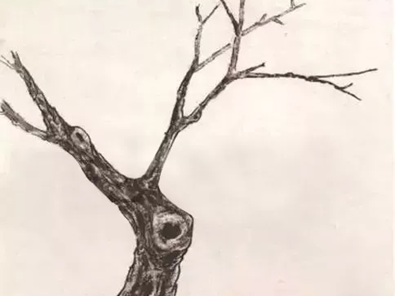 Tutorial: Techniques for Painting Boneless Flower and Bird Paintings