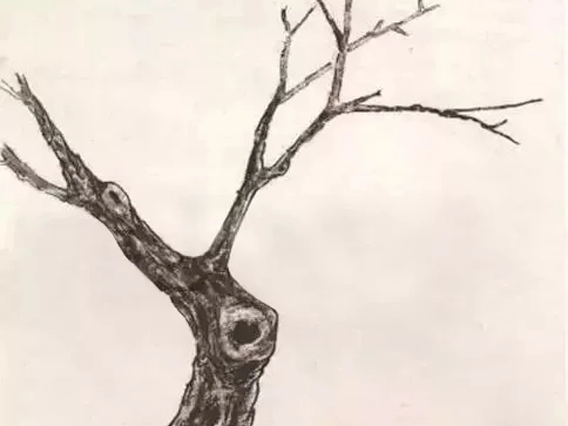 Tutorial: Techniques for Painting Boneless Flower and Bird Paintings
