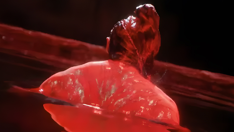 Who Can Resist Cheng Lei's Triple Charm in Shadow Love?