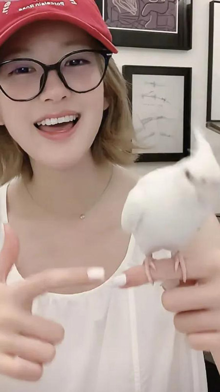 Zhao Lusi Quitting Showbiz? Why Stars & Agencies Often End Badly?