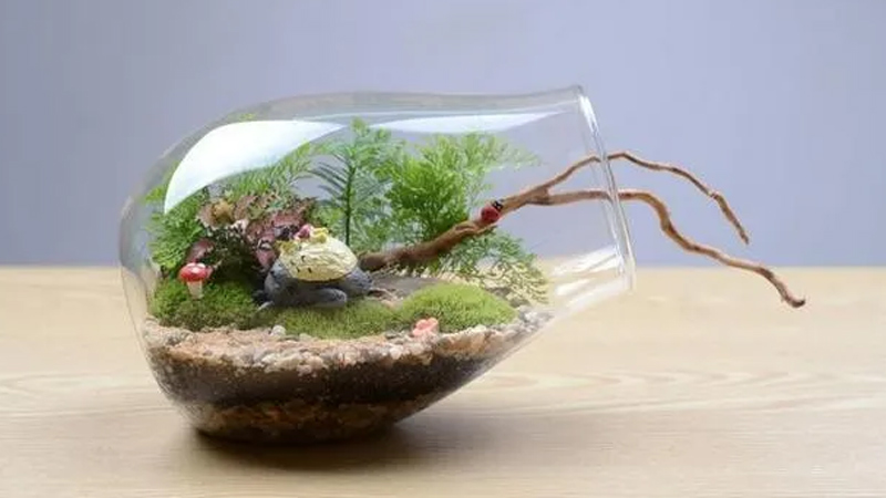 A Step-by-Step Guide to Crafting and Caring for Micro-landscapes