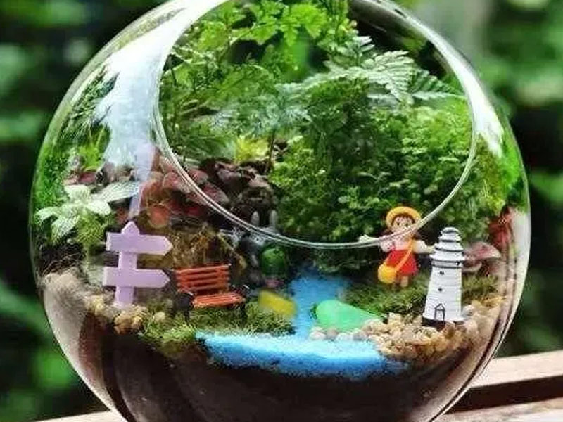 A Step-by-Step Guide to Crafting and Caring for Micro-landscapes