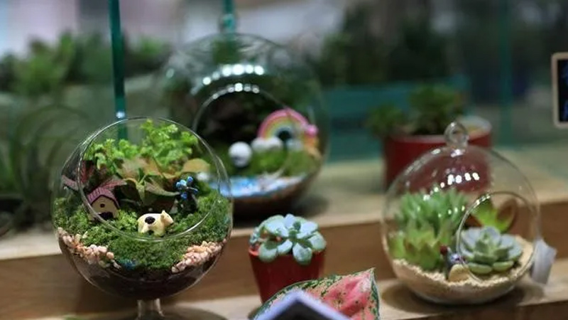 A Step-by-Step Guide to Crafting and Caring for Micro-landscapes