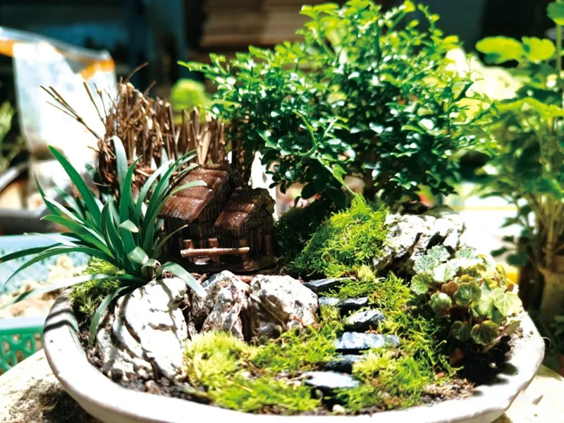 A Step-by-Step Guide to Crafting and Caring for Micro-landscapes