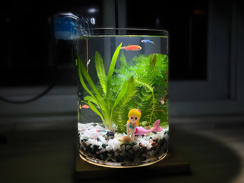 A Step-by-Step Guide to Crafting and Caring for Micro-landscapes
