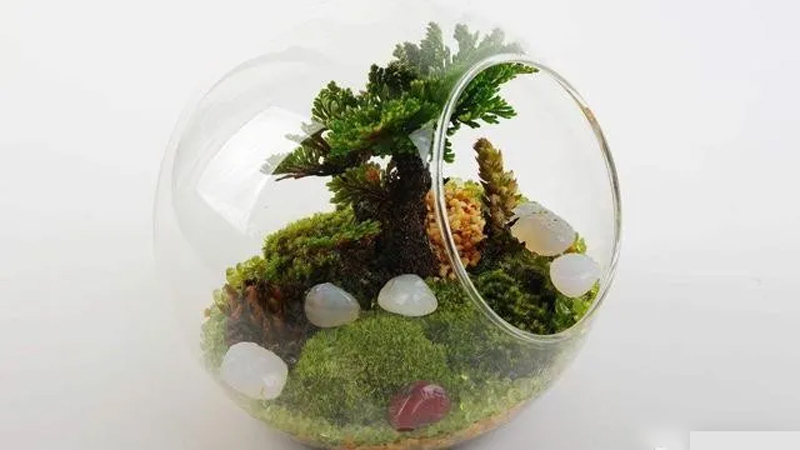 A Step-by-Step Guide to Crafting and Caring for Micro-landscapes