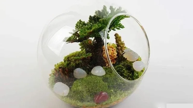 A Step-by-Step Guide to Crafting and Caring for Micro-landscapes