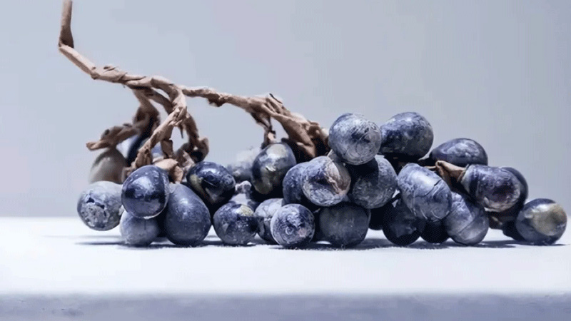 Did a Bunch of 1,000-Year-Old Grapes Just Rewrite History?