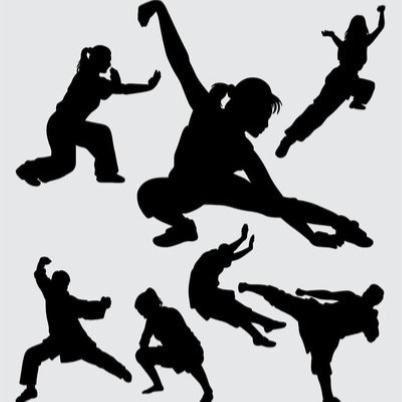 Kung Fu: The Art of Foundational Mastery