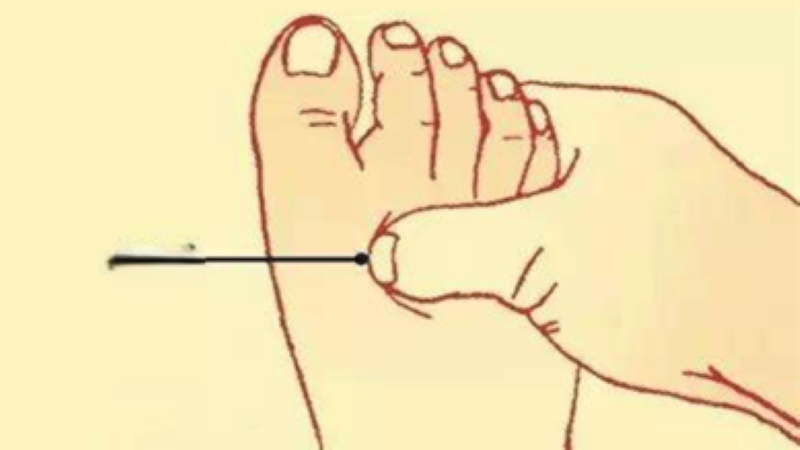 Simple Daily Habits for a Healthier Liver, According to TCM