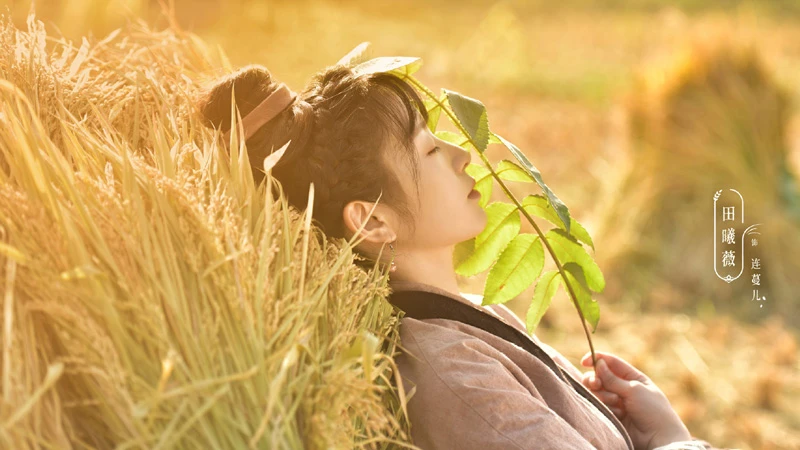 Top 5 Empress Time-Traveling Ancient Dramas