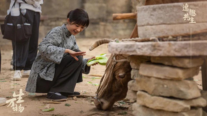 Yang Mi's Career Turning Point in 2025