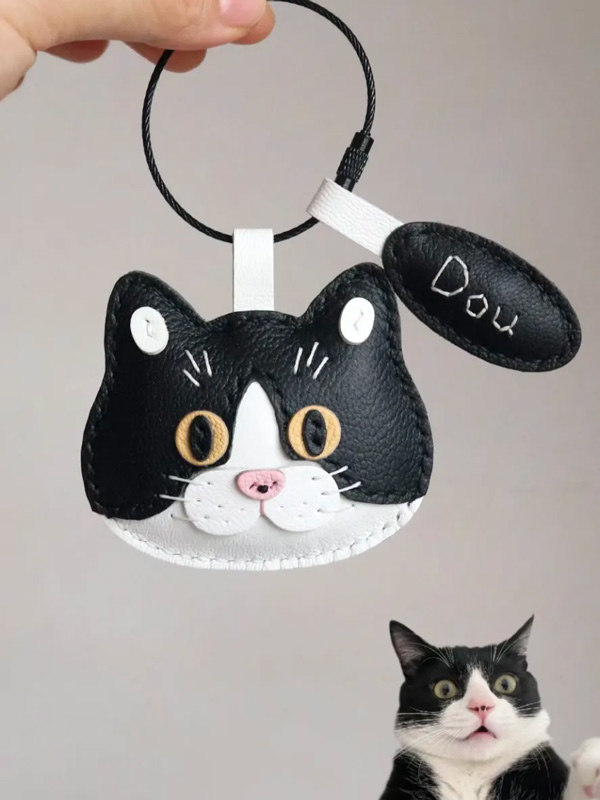 DIY Pet Craft Championship: Vote for Cutest Handmade Buddy!