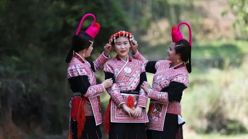 Discovering the She Ethnic Group: A Cultural Journey Through Fujian's Highlands!