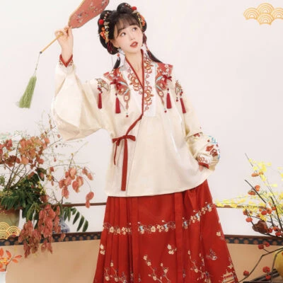 Ming Dynasty Women Hanfu Winter Aoqun New Style Maian Skirt