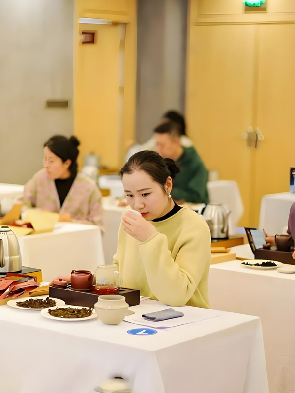 The Art of Chayi: Mastering the Elements of a Perfect Brew