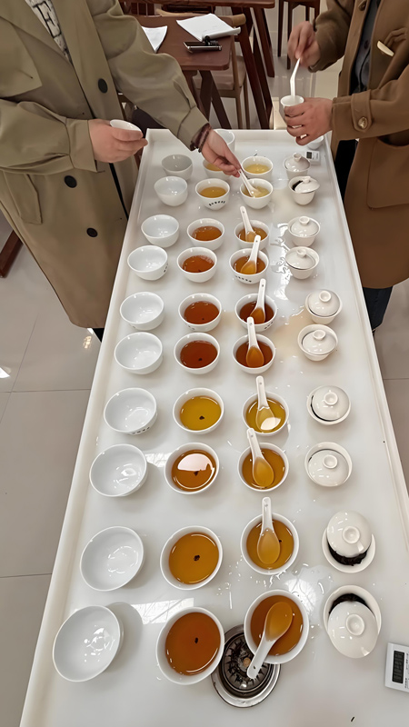 The Art of Chayi: Mastering the Elements of a Perfect Brew