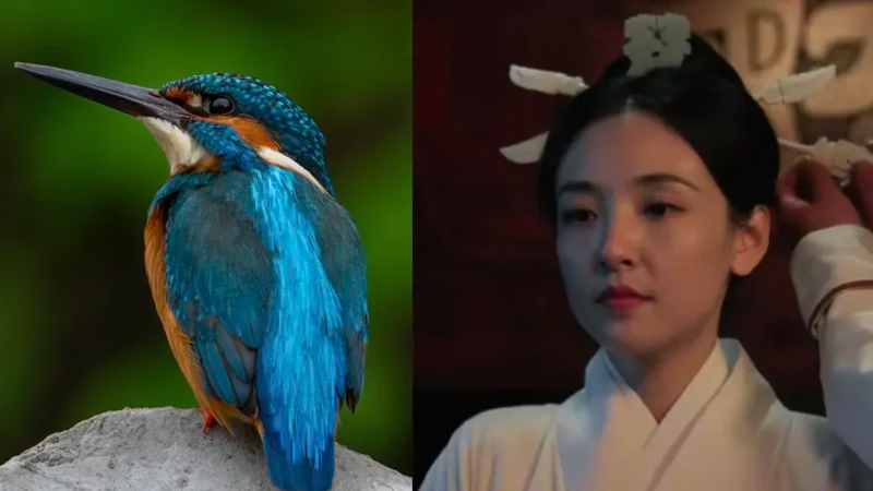 Wen Zhengrong: Historical Attire and Jewelry Shape Drama Style