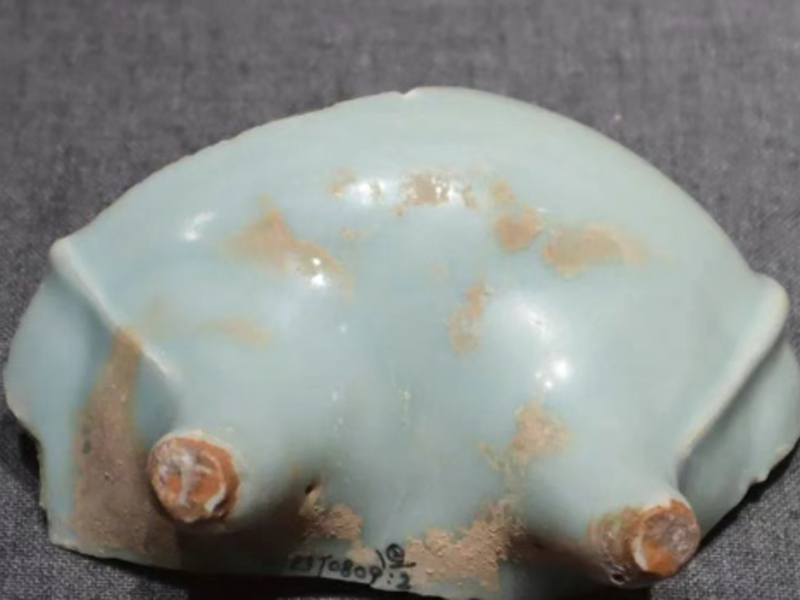 What Hidden Stories Do Southern Song Celadon Shards Whisper Today?