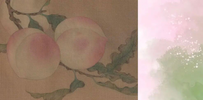 Why Are Some Girls Called Rotten Peaches?