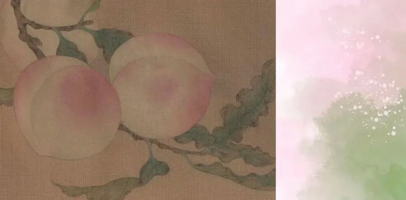 Why Are Some Girls Called Rotten Peaches?