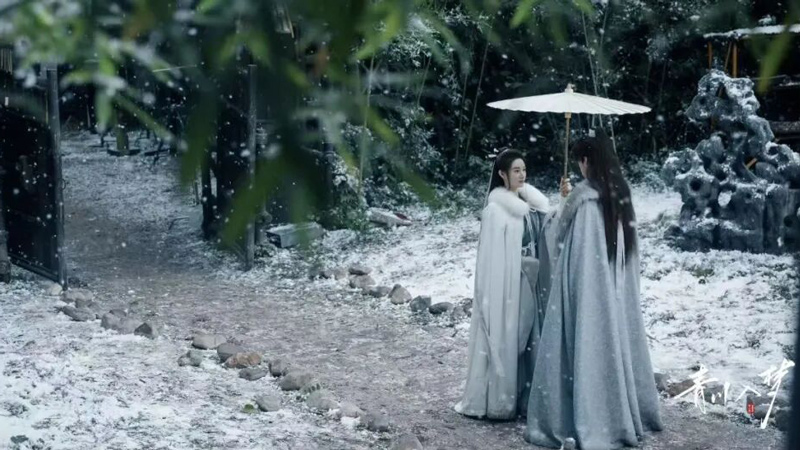 Idol Dramas Transformed: Female Directors' New Vistas