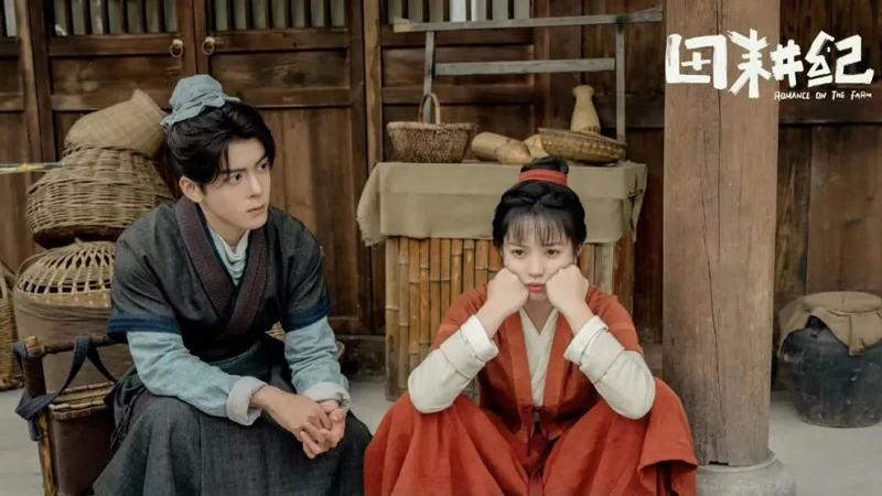 Idol Dramas Transformed: Female Directors' New Vistas