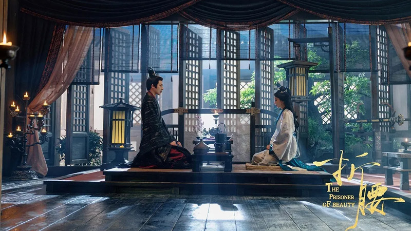 Passionate Sagas & Anguish-Satisfaction: The Emotional Pull Shaping Chinese TV