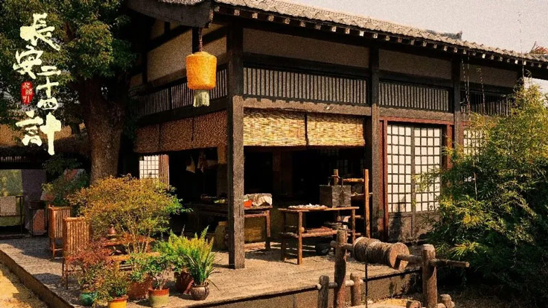 The High-Stakes Conspiracy of The Vendetta of An