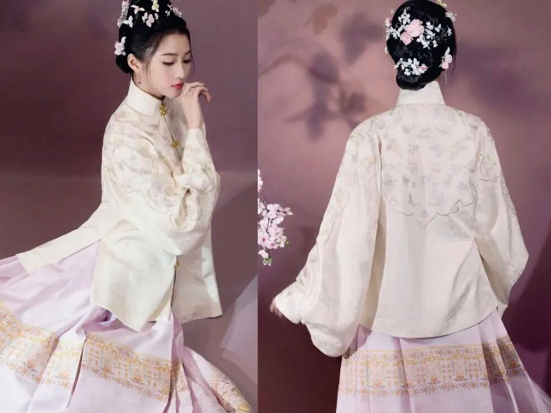 Decoding Ming & Qing Dynasty Mamianqun