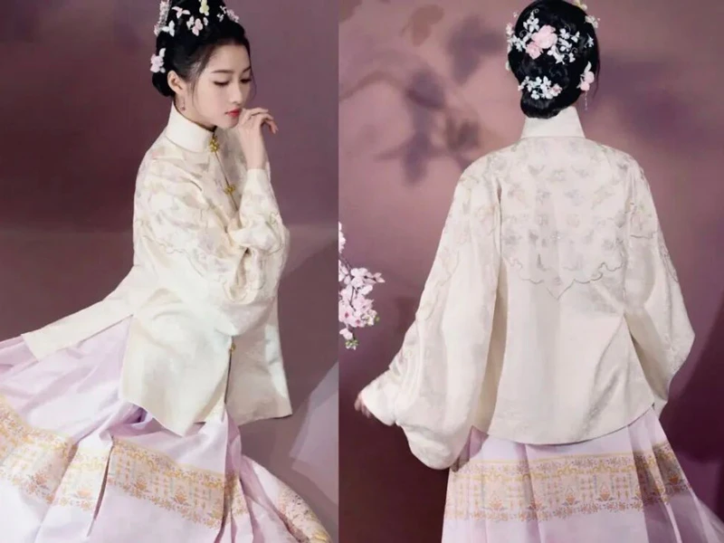 Decoding Ming & Qing Dynasty Mamianqun