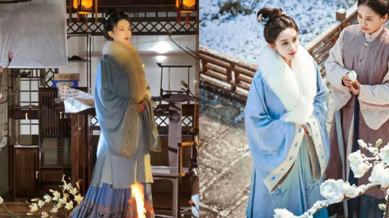 How Historical Fur Collars Blended Function and Status