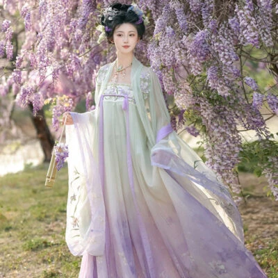 Spring Hanfu Women's Long Tang Dynasty Style Wide-Sleeved Outer Garment with Qixiong Skirt